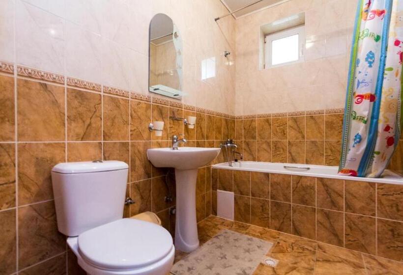 اتاق استاندارد, Gortenziya