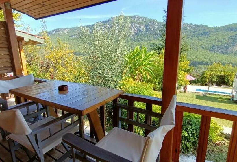 بانگلوی سوپریور, Lycia Nature House