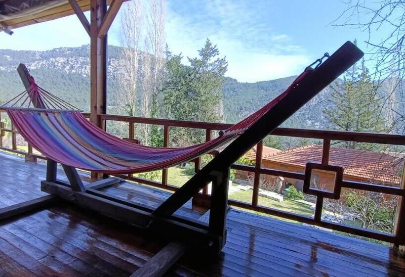 اتاق استاندارد, Lycia Nature House