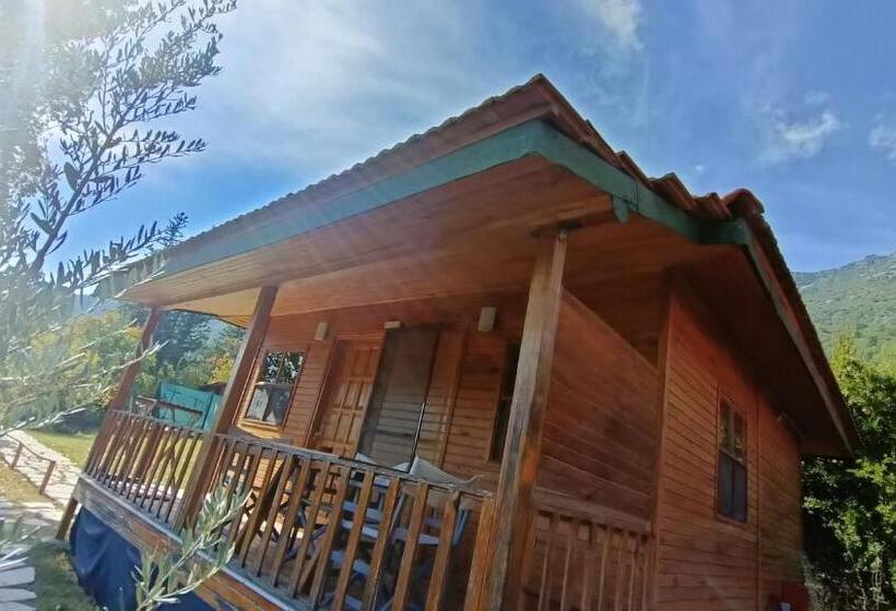 Бунгало Superior, Lycia Nature House