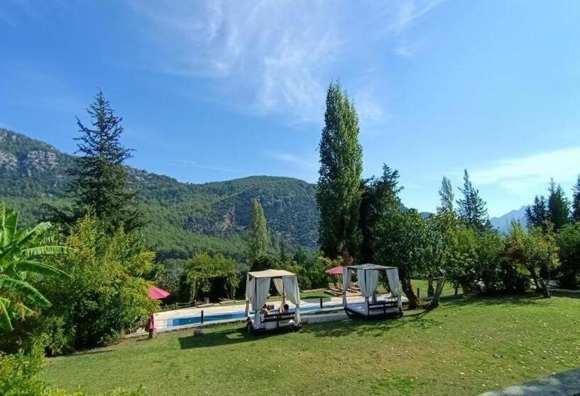 بانگلوی سوپریور, Lycia Nature House