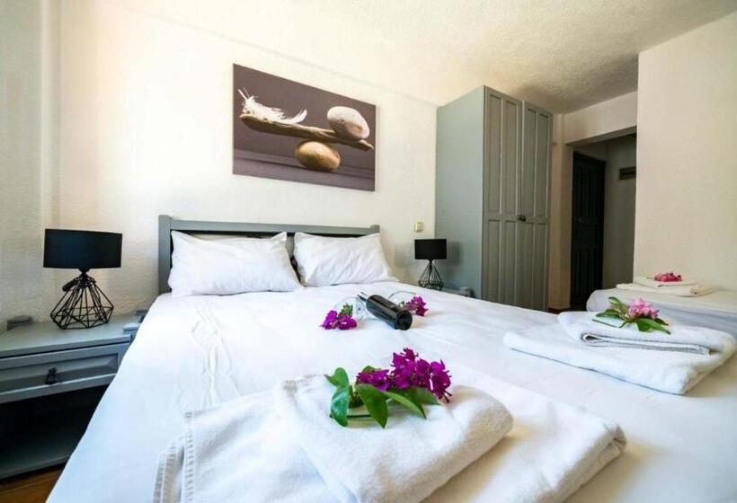 スタンダードルーム, Old Trading House