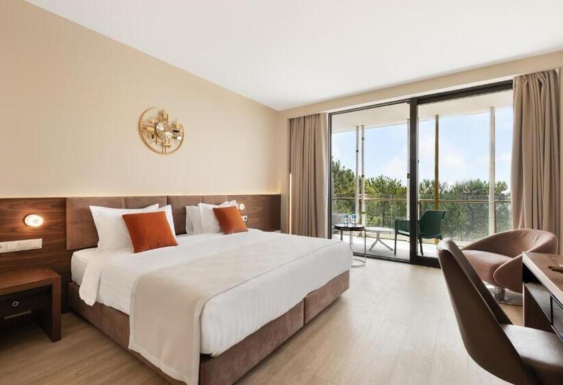 اتاق استاندارد با چشم‌انداز دریا, Magnika Resort