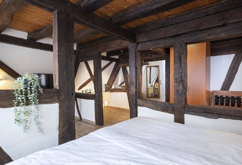 Номер Superior, Achat Hotel Heppenheim