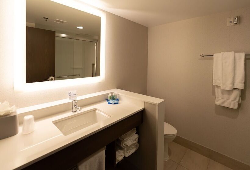 스탠다드 룸, Holiday Inn Express Boston, An Ihg