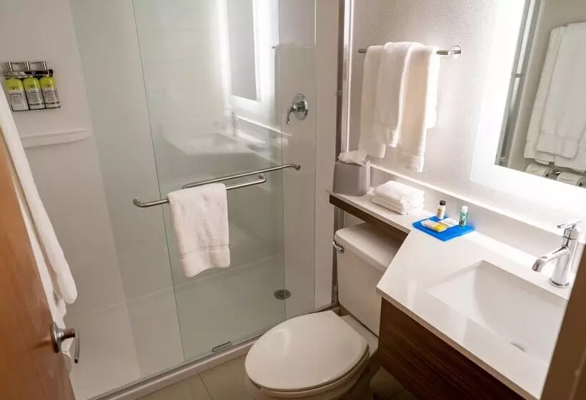اتاق استاندارد با 2 تخت دوبل, Holiday Inn Express Boston, An Ihg