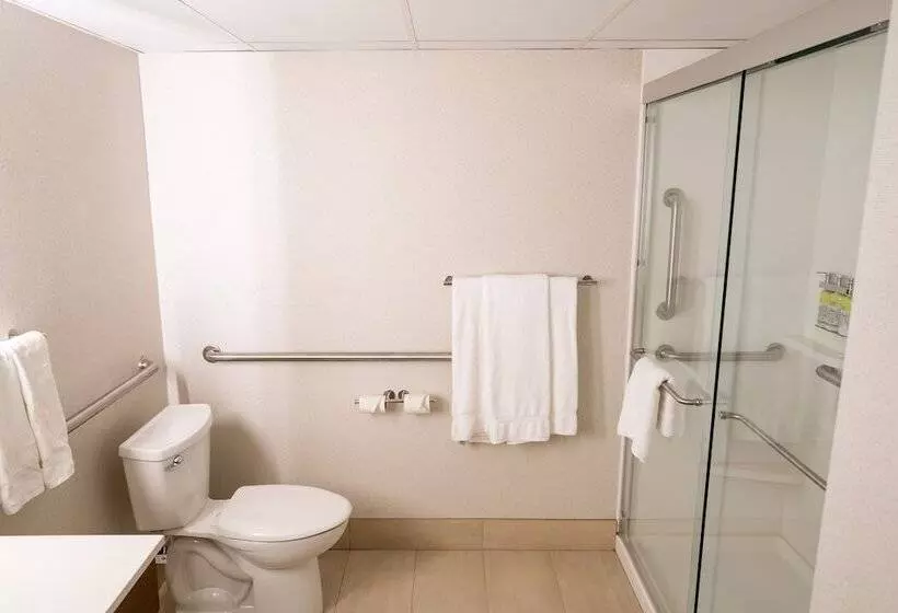 اتاق استاندارد با 2 تخت دوبل, Holiday Inn Express Boston, An Ihg