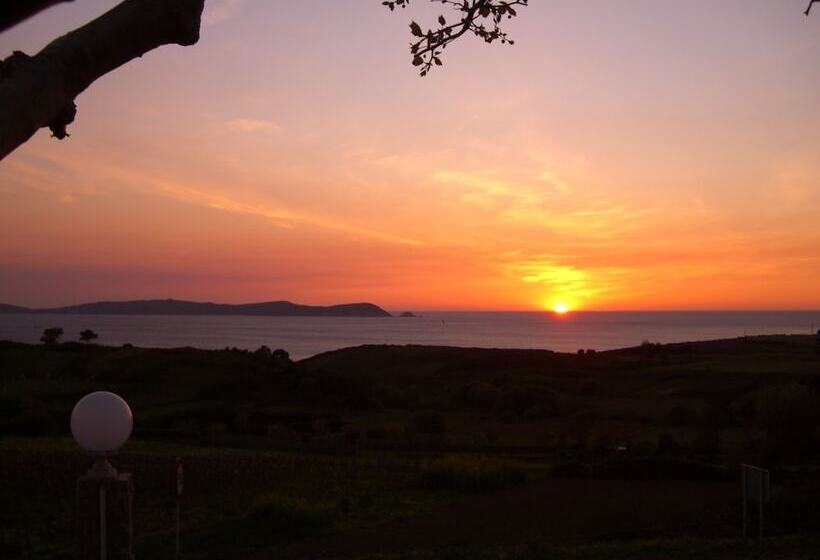 オーシャンビュースタンダードルーム, Oca Vermar