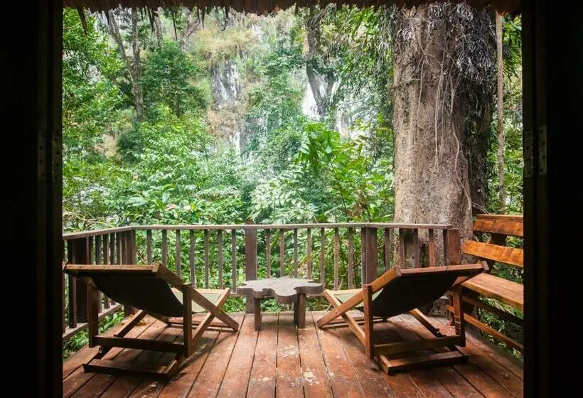 ファミリールーム, Our Jungle House