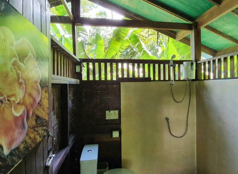 غرفة قياسية ثلاثية, Our Jungle House