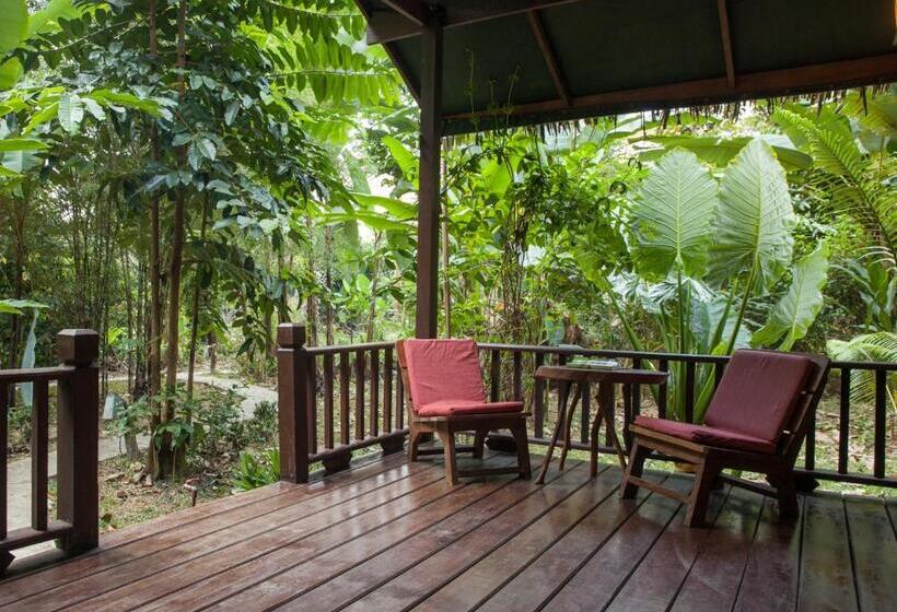 بنجلو قياسى, Our Jungle House