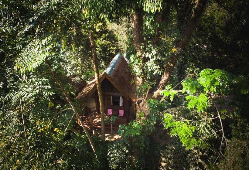 بنجلو قياسى, Our Jungle House