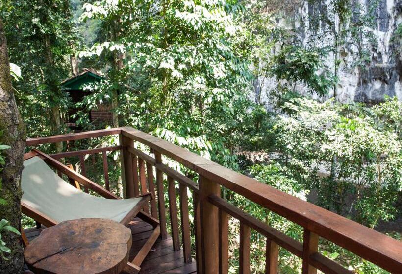 غرفة قياسية, Our Jungle House