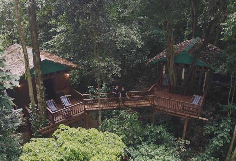 غرفة قياسية, Our Jungle House
