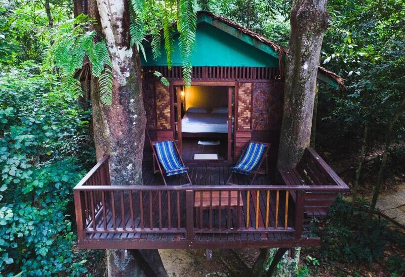 غرفة قياسية, Our Jungle House