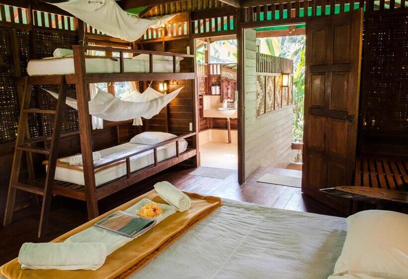 غرفة عائلية, Our Jungle House