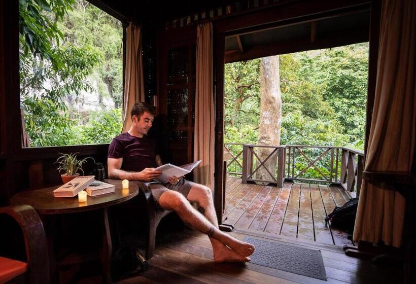 غرفة عائلية, Our Jungle House