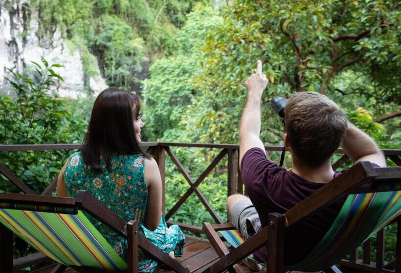 غرفة عائلية, Our Jungle House