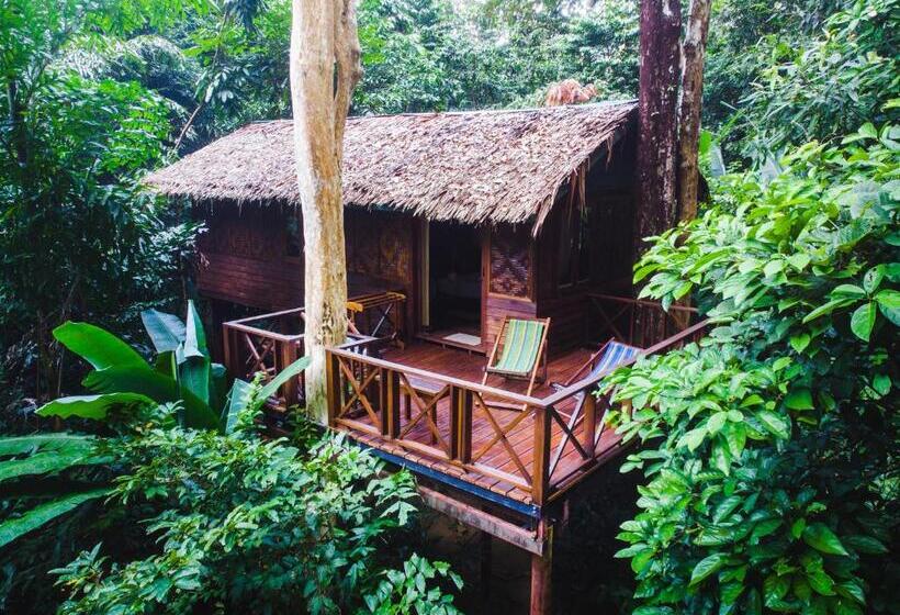 Семейный Номер, Our Jungle House