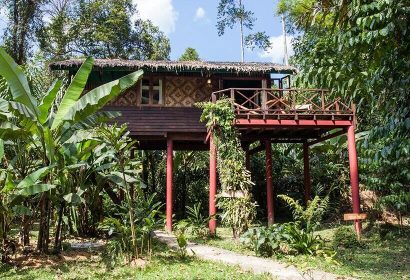 غرفة عائلية, Our Jungle House