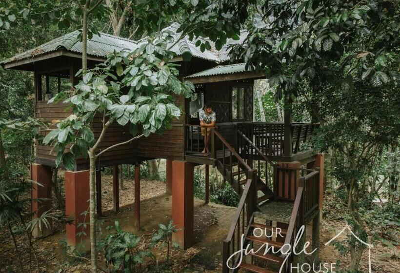 بنجلو قياسى, Our Jungle House