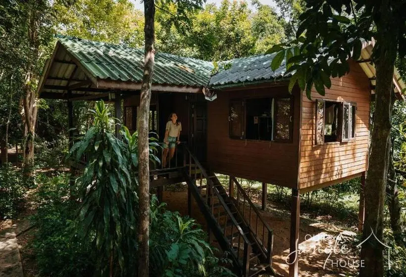 家族用バンガロー, Our Jungle House