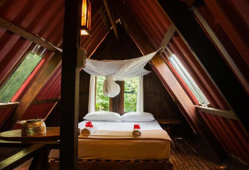 بنجلو عائلى, Our Jungle House