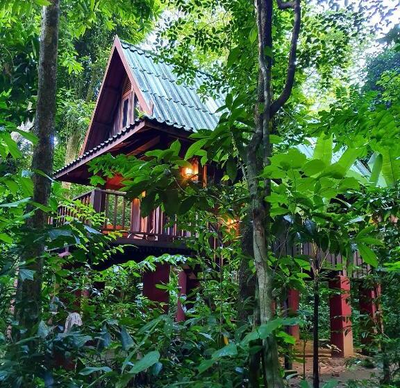 بنجلو عائلى, Our Jungle House