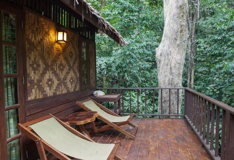 غرفة قياسية ثلاثية, Our Jungle House