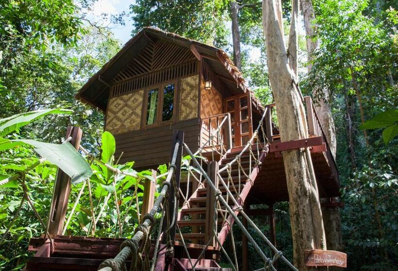 Номер Стандарт Трехместный, Our Jungle House