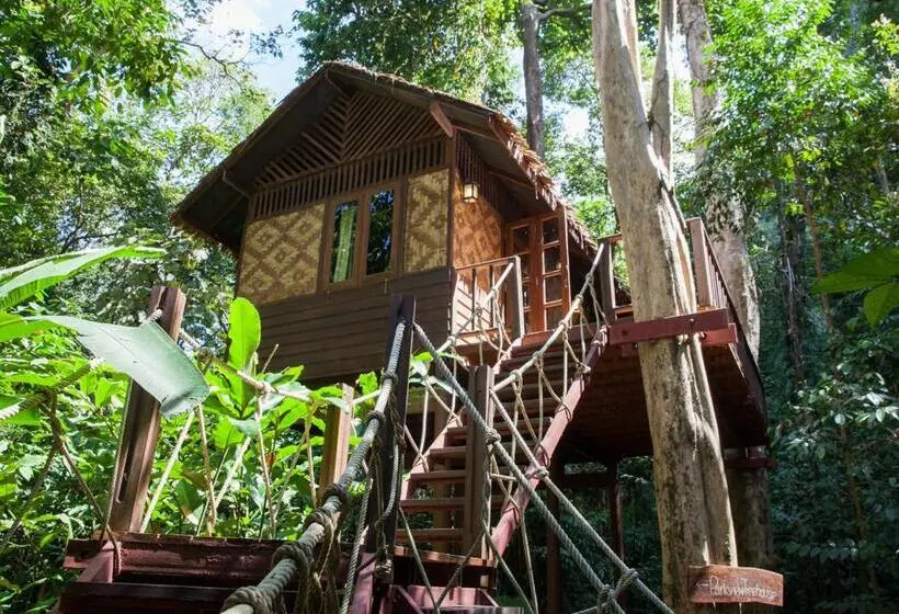 スタンダードトリプルルーム, Our Jungle House