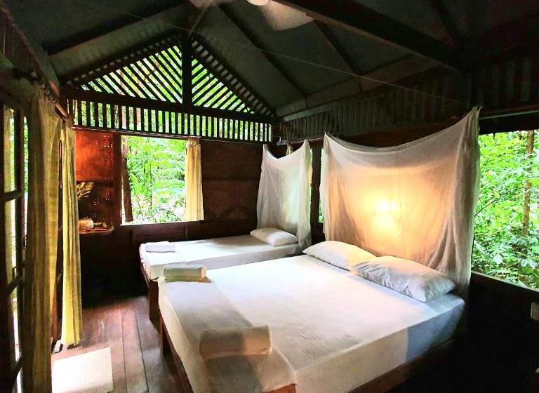 غرفة قياسية ثلاثية, Our Jungle House