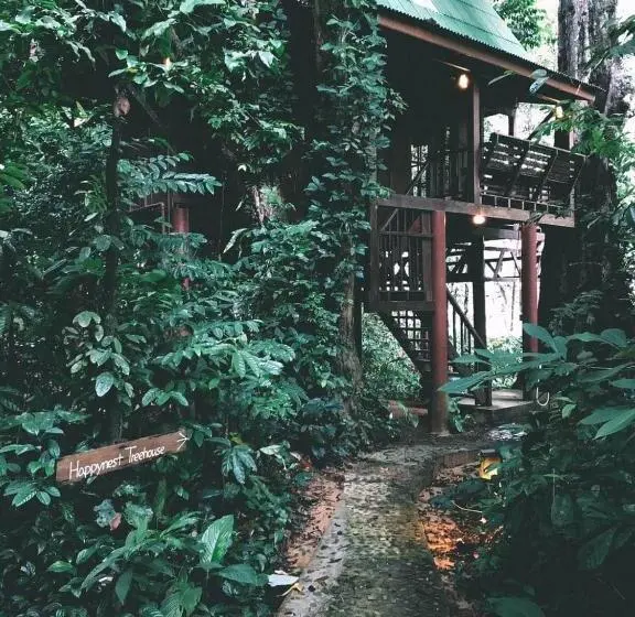 1ベッドルームハウス, Our Jungle House