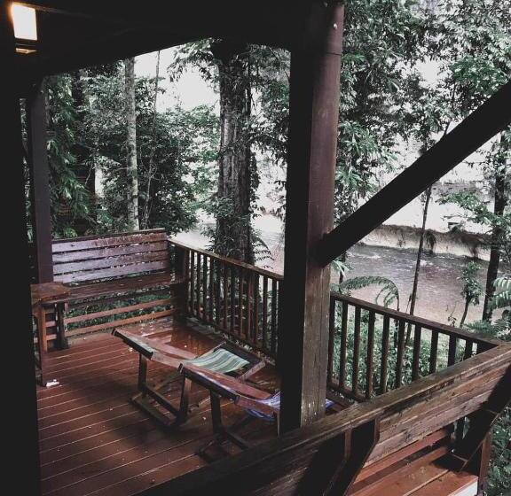 منزل غرفة نوم واحدة, Our Jungle House