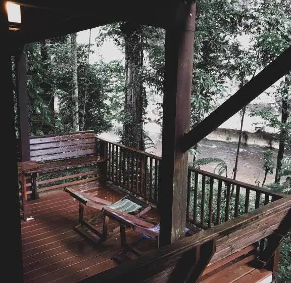 1ベッドルームハウス, Our Jungle House