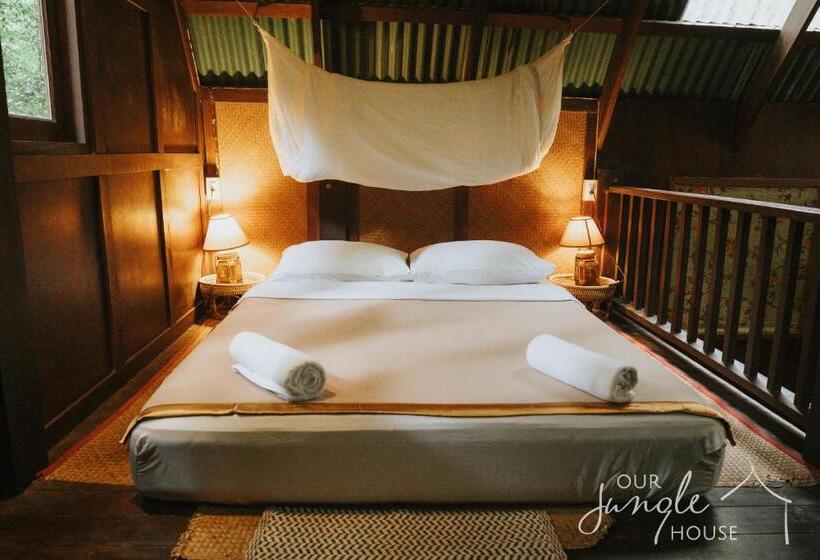 منزل غرفة نوم واحدة, Our Jungle House