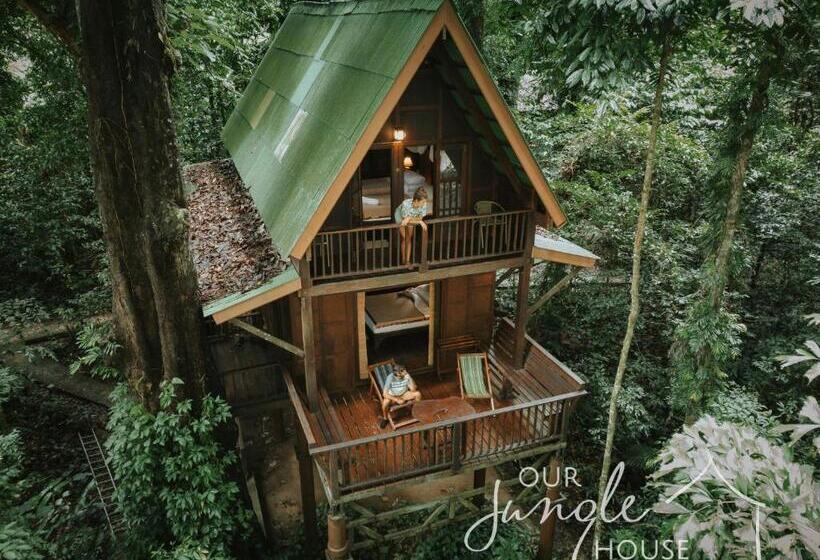 منزل غرفة نوم واحدة, Our Jungle House