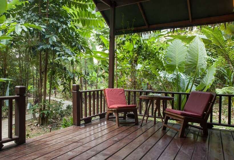 Бунгало Стандарт, Our Jungle House
