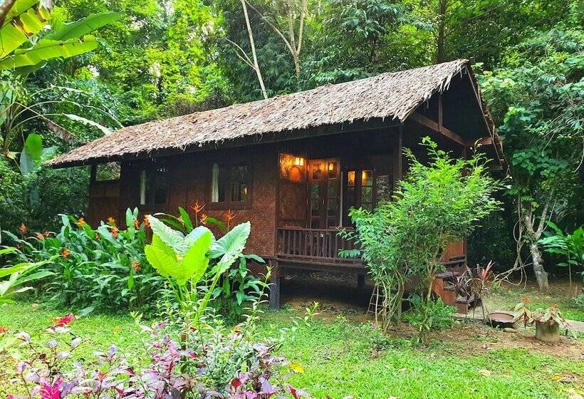 بنجلو قياسى, Our Jungle House