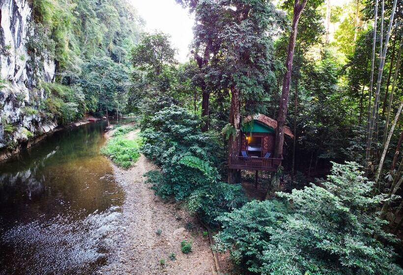 منزل غرفة نوم واحدة, Our Jungle House