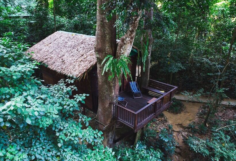 منزل غرفة نوم واحدة, Our Jungle House