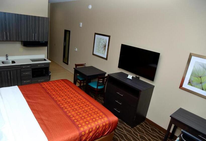 스탠다드 룸 킹사이즈 침대, Americas Best Value Inn & Suites Prairieville