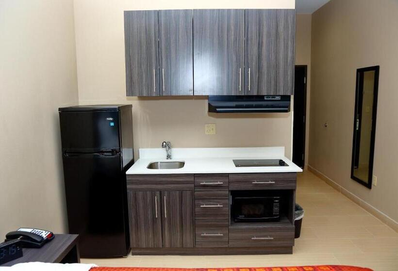 스탠다드 룸 킹사이즈 침대, Americas Best Value Inn & Suites Prairieville