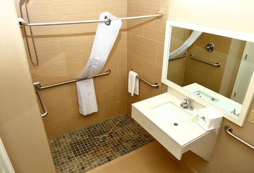 장애인을 위한 킹사이즈 침대 스탠다드 룸, Americas Best Value Inn & Suites Prairieville