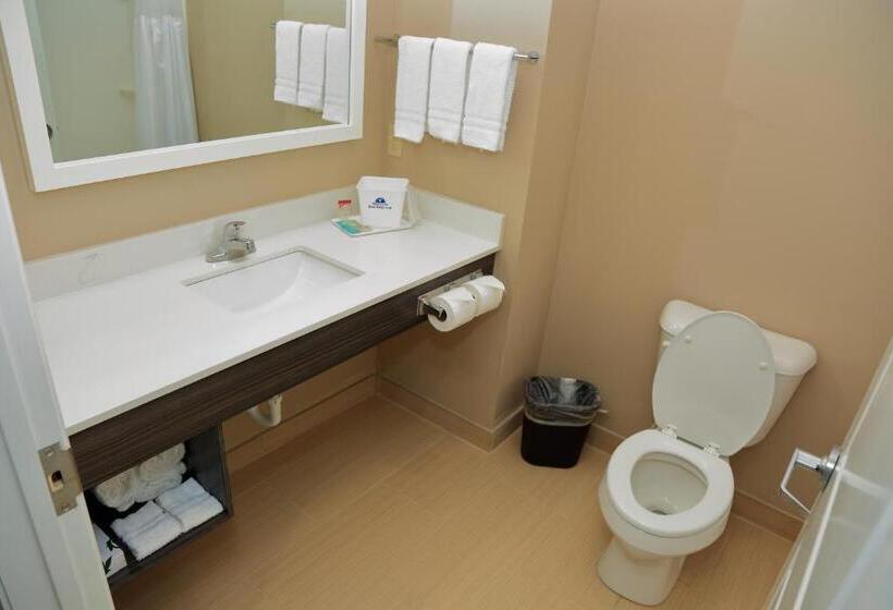 스탠다드 룸 퀸사이즈 침대, Americas Best Value Inn & Suites Prairieville