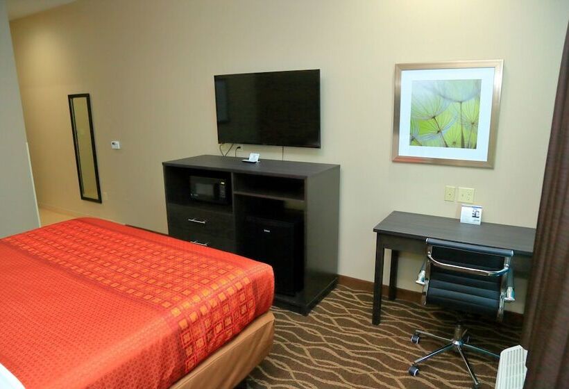 חדר סטנדרט מיטה זוגית, Americas Best Value Inn & Suites Prairieville