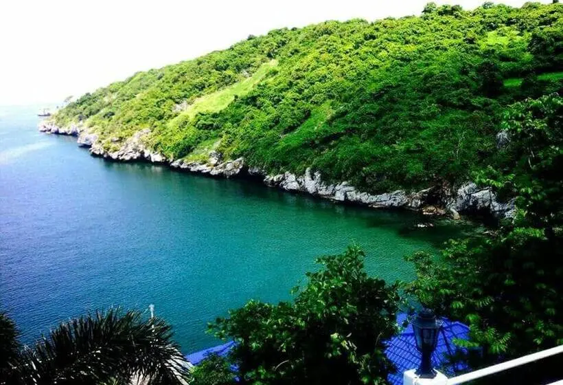 اتاق لوکس, Ocean View Resort   Koh Sichang