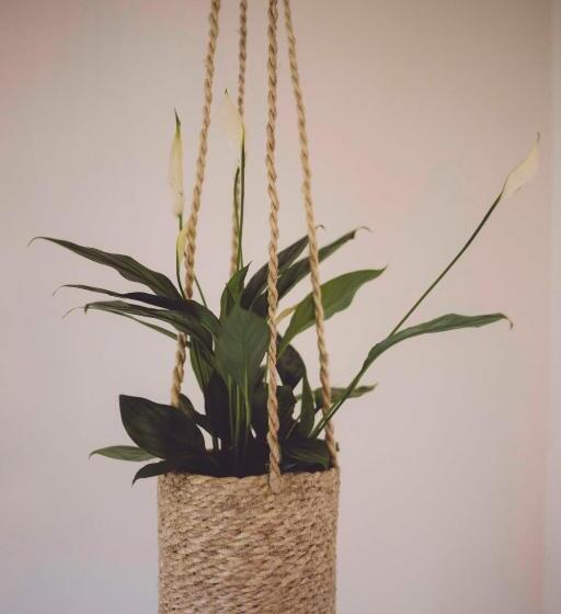 스탠다드 싱글 룸, Edelfuchs Lodge