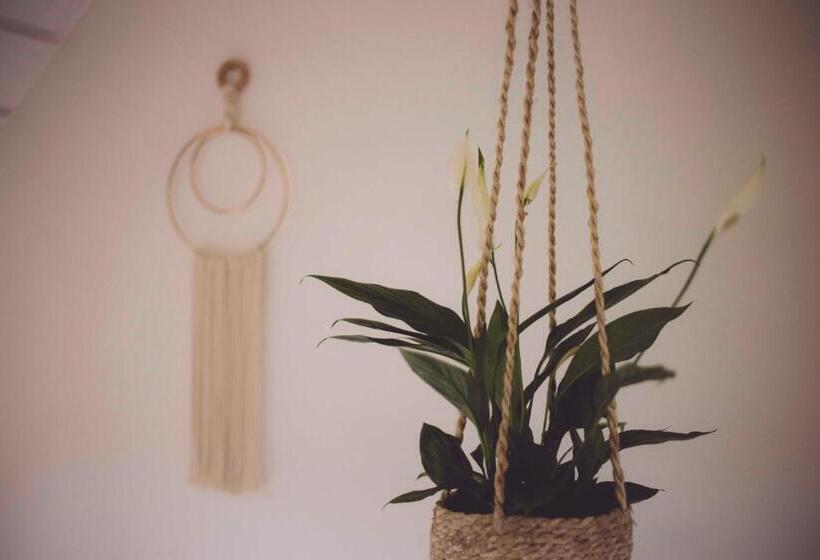 스탠다드 싱글 룸, Edelfuchs Lodge