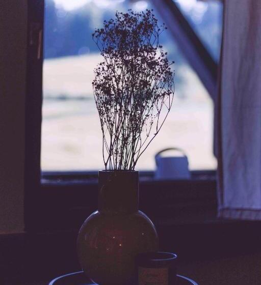 스탠다드 트리픔 룸 공동욕실, Edelfuchs Lodge